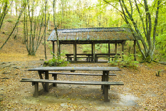 在山上的營(yíng)地。