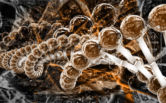 DNA