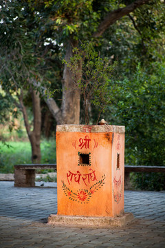 羅勒（羅勒）的基礎(chǔ)上