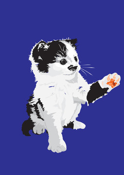 小貓
