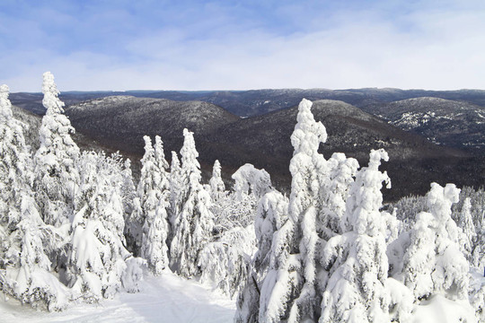 Mont Tremblant