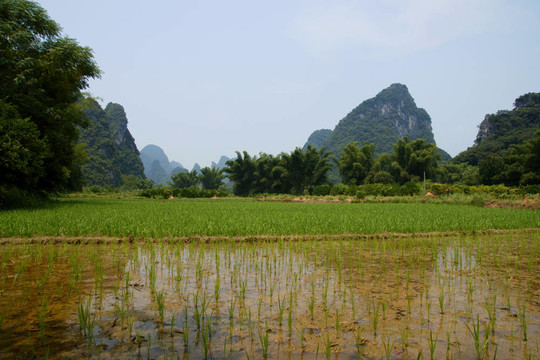 陽(yáng)朔景觀