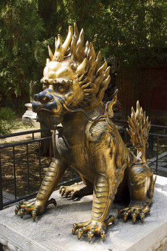紫禁城雄獅