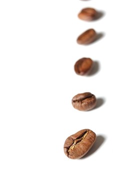連續(xù)咖啡豆
