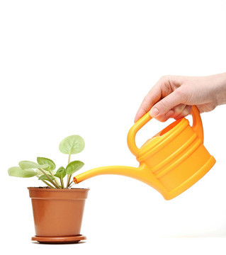 特寫一方面植物澆水噴壺