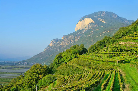 Trentino 04
