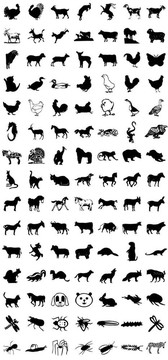 圖標(biāo)的動物