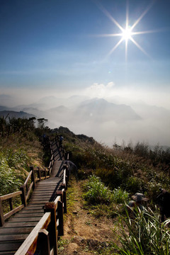 在山地景觀