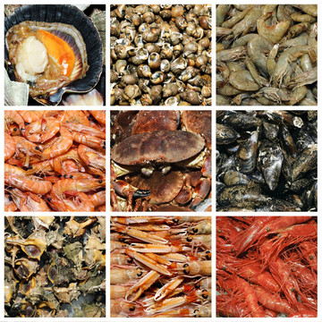 海鮮拼貼