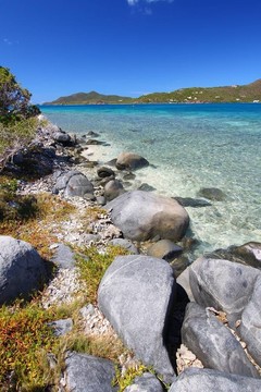 英屬維爾京群島