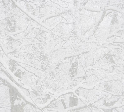 冬天的雪的背景