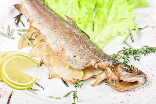 虹鱒魚