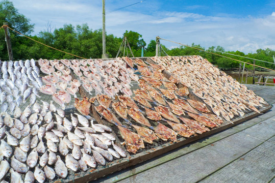 咸魚