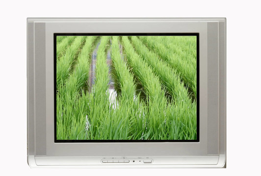 電視與Rice Paddy Display