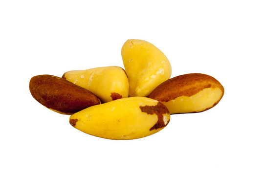 巴西堅(jiān)果
