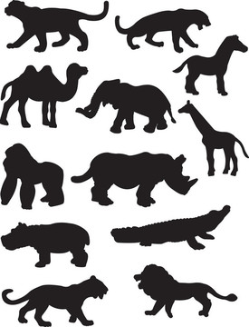 野生動物剪影