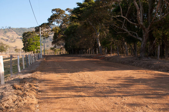 土路