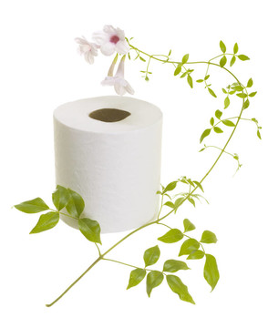 Flower衛(wèi)生紙
