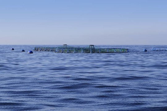 藍(lán)海海洋地平線上的養(yǎng)魚場