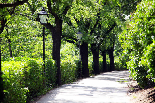 城市公園