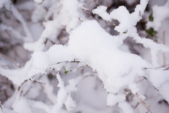 下雪的冬天