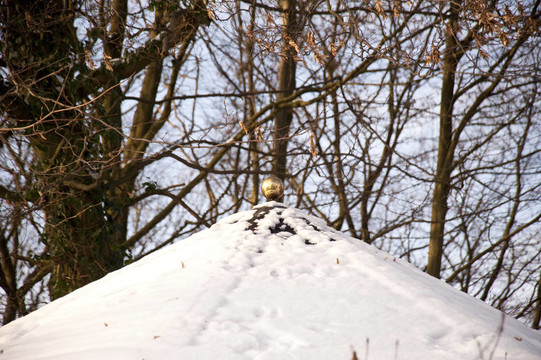 雪中之家