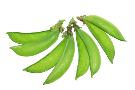 蜜豆