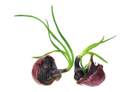發(fā)芽的紅洋蔥