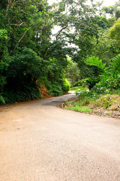 孤獨(dú)的路