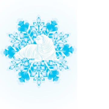 在雪花的海象