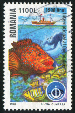 海里的魚