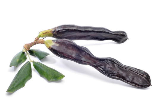 長豆角