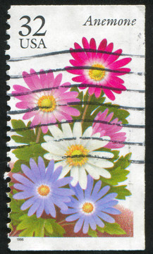 銀蓮花
