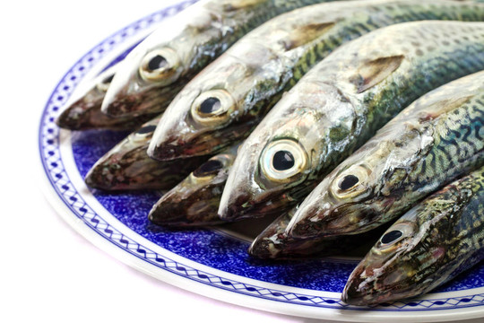 鯖魚