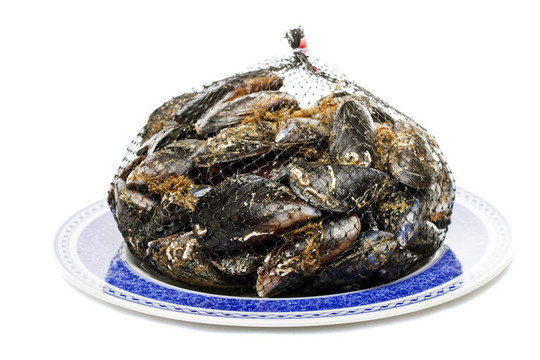 貽貝類