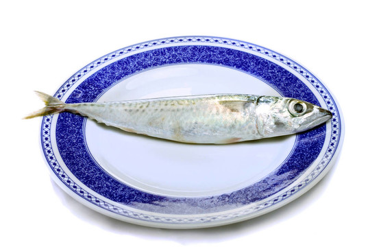 鯖魚