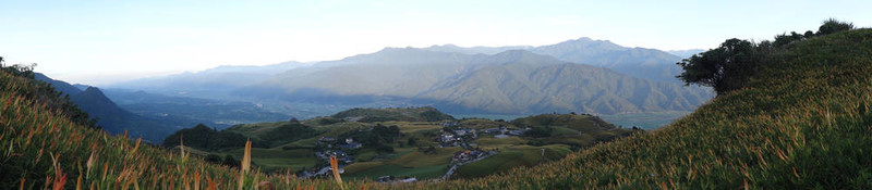 黃花菜在六十石頭山