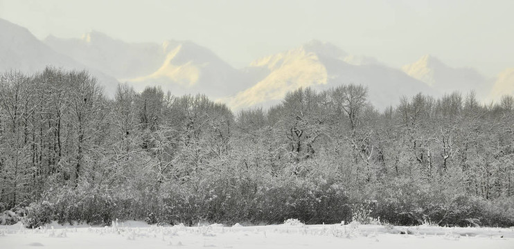 日落中的雪山
