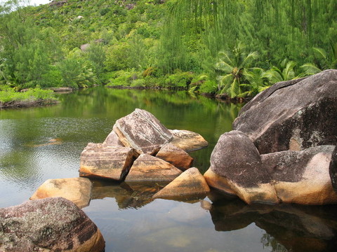 美麗的熱帶風(fēng)景