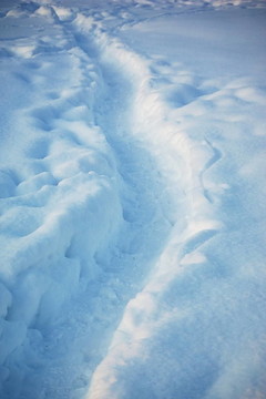 雪中之路