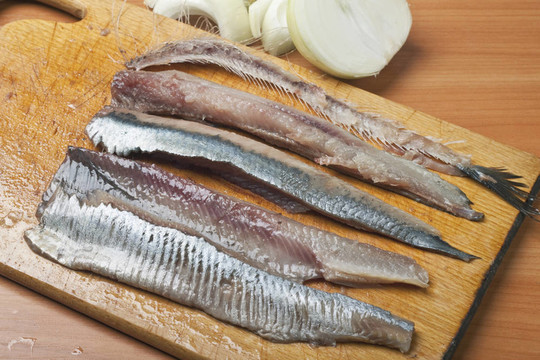 鯡魚
