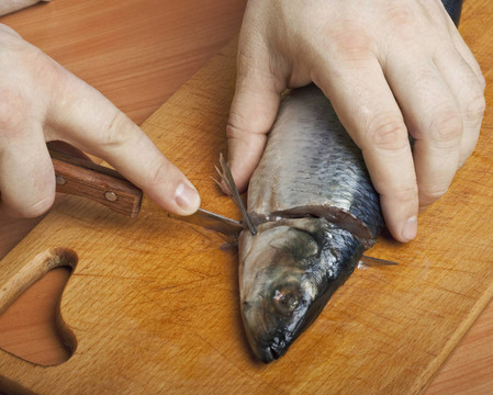 鯡魚