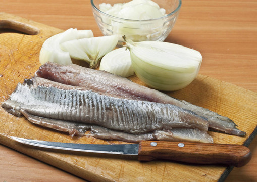鯡魚