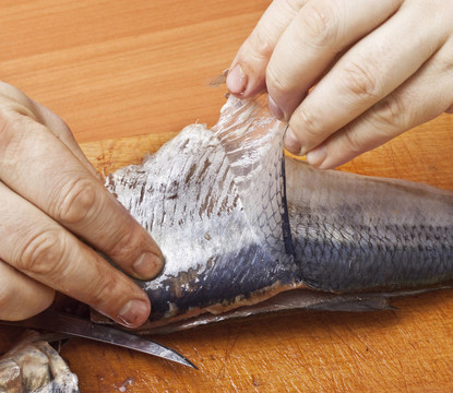 鯡魚(yú)