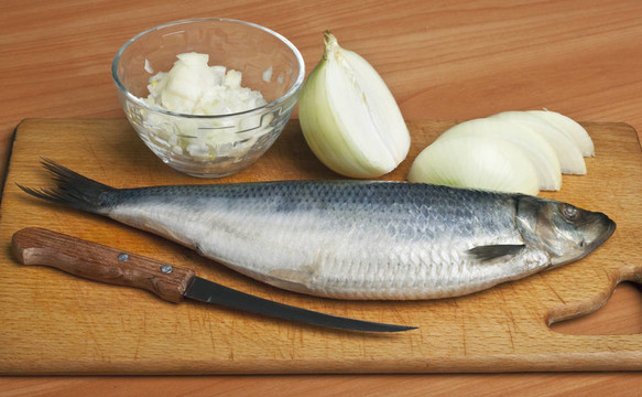 鯡魚