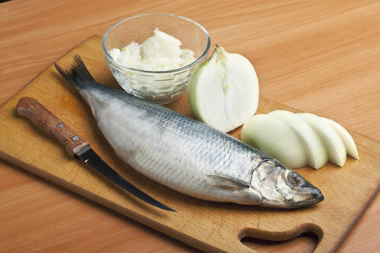 鯡魚
