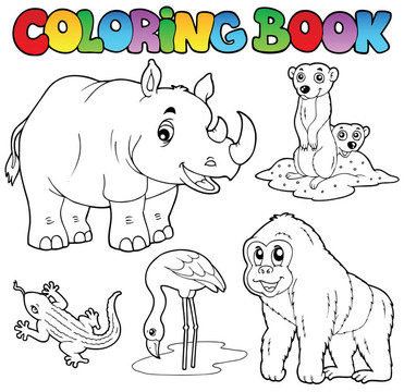 彩色圖書動物園動物集1