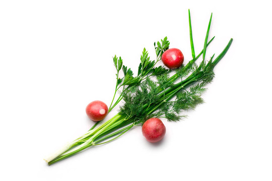 香菜；蘿卜；蔥和蒔蘿白色隔離