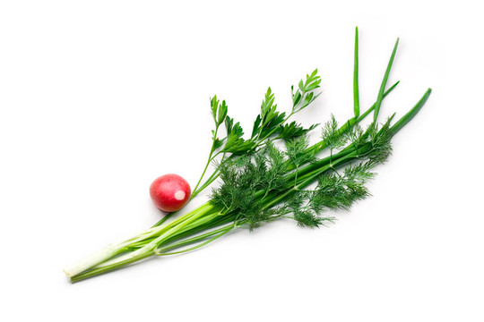 香菜；蘿卜；蔥和蒔蘿白色隔離