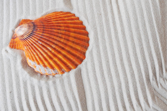 海砂輕舟